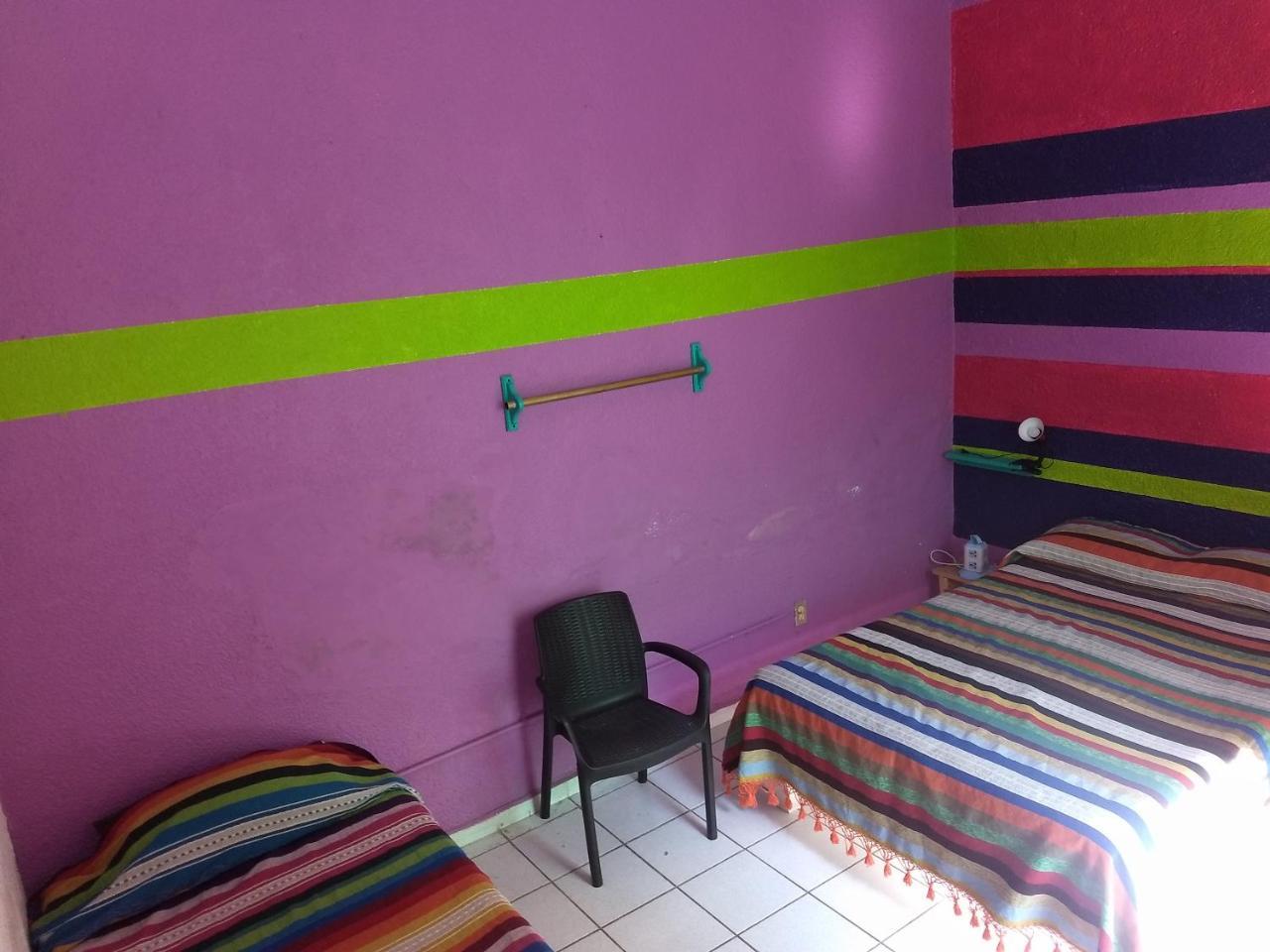 Iguana Hostel Oaxaca Exterior photo