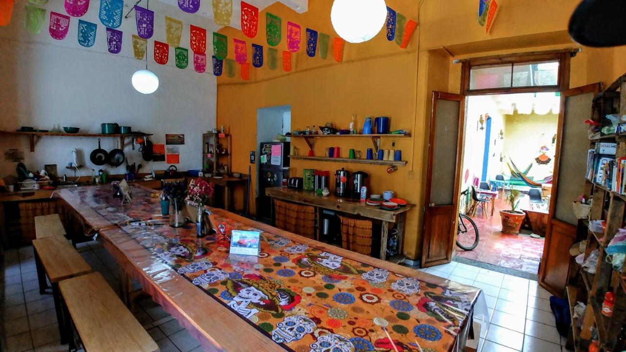 Iguana Hostel Oaxaca Exterior photo